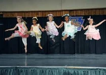 ImagesCAKU84KW.jpg (8 KB) Rag Dolls