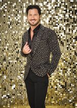 Valentin Chmerkovskiy Season 20, Season 23, and Season 32