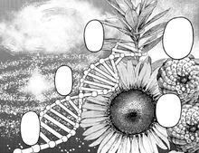 Spirals in the Universe