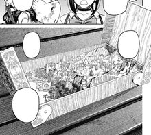 The Danmara cursed trunk.