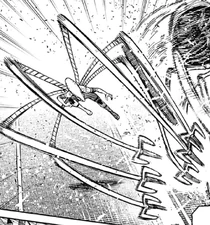 Ta Kowasa's arms