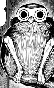 Abura's full appearance