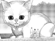 Ayase House - Cat.png (4.49 MB) Giant cat sculpture.