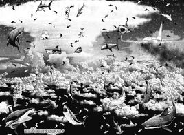 Typhoon Human Arc Infobox