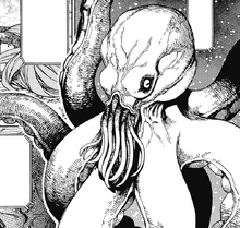Takonoka Ru Patcho Kur's appearance