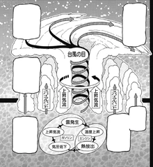 Seiko describing how a typhoon is generated.