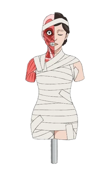 Hana Anime Concept Art