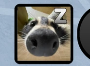 The old icon for Pebble's active ability