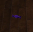 ExtractionSpeedCandyfloor.png (18 KB) Extraction Speed Candy on the ground
