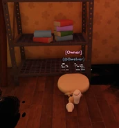 Ditto, but at a different angle