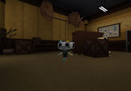 A room with a Triceratops skull and T-Rex skull