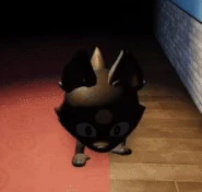 Run animation in a Blackout