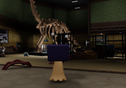 A room with a giant Sauropod fossil featuring a dig-site