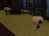 Shelly chasing Shelly