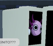 Ditto again, from a closer angle