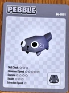 Pebble's card in the Roblox IRL Experience