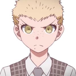 DR3-Z