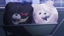 Shirokuma & kurokuma