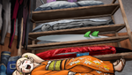 Peko hiding in the surfboard case