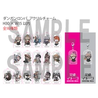 Acrylic charms