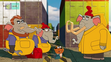 The Elephants Crew