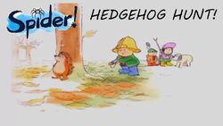Spider Hedgehog Hunt.jpg