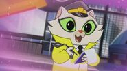 Cat Officer