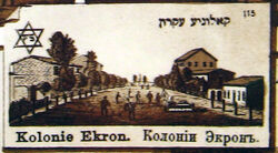 Ekron22