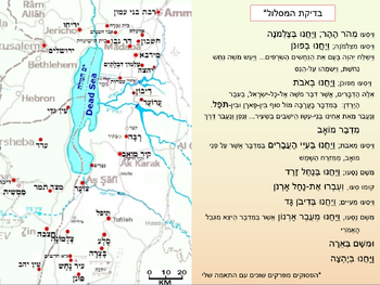 בדיקת המסלול.png