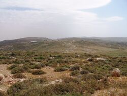 Bloc shilo from mount kida