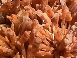 גבס מסאות' וולס החדשה שבאוסטרליה