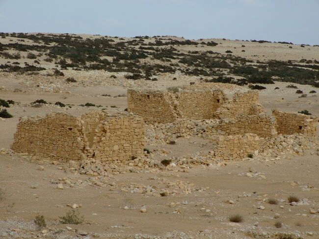 Bldg-haluza