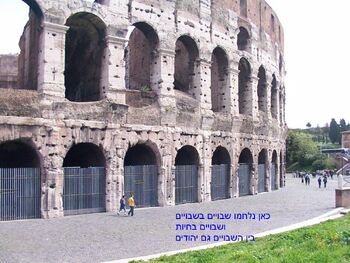 Colloseo17