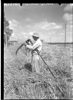 כפר הרא-ZKlugerPhotos-00101y4