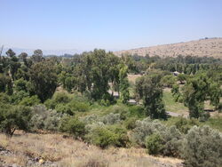 Jordan Park (2)