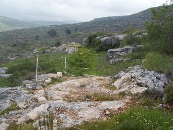 מבט לצפון - המעגל:אולי שרידי חקלאות עתיקה