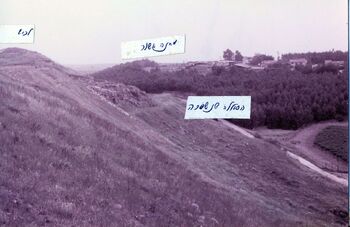 Lachish total view