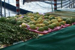 Etrog Lulav and Hadas