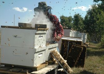 Beekeeper