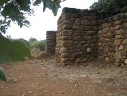 חומה בתל דן