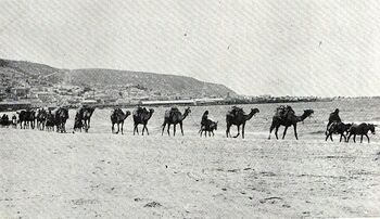 המגדלור במקומו החדש מאז 1912 אוסף דרשוביץ