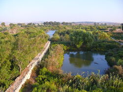 Ein-Afek-dam001