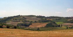 Monferrato 1