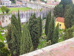 Pisa jews cementary01