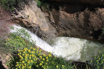 HaEshed fall.jpg (2.72 מ"ב)