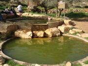 Maain hagvura