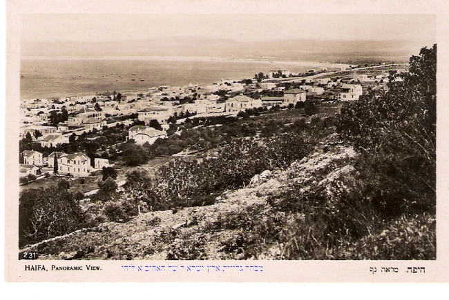 Haifa eliau brother collection