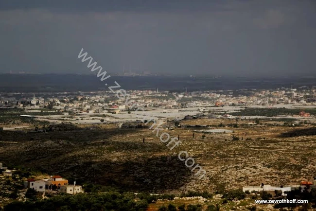 טייבה ונתניה באופק