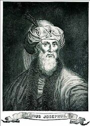 Favius josepenus.jpg