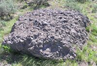 Volcanic breccia in Jackson Hole